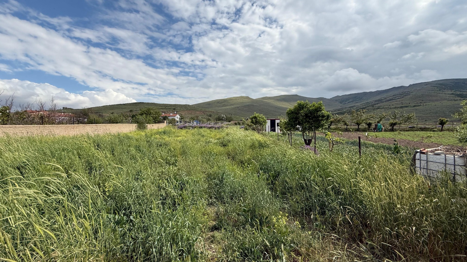 KAYSERİ DEVELİ AYVAZHACI MAHALLESİ KOLDERESİ MEVKİİNDE SATILIK TARLA VASIFLI TAŞINMAZ
